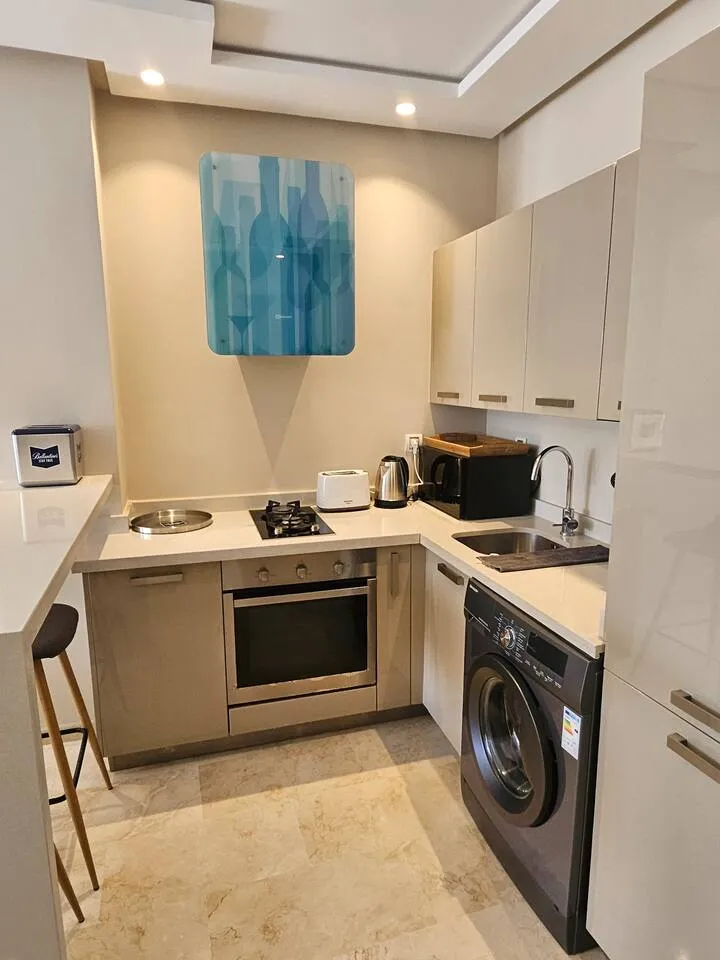 Compact luxury kitchen counter and appliances at Ciel Studio