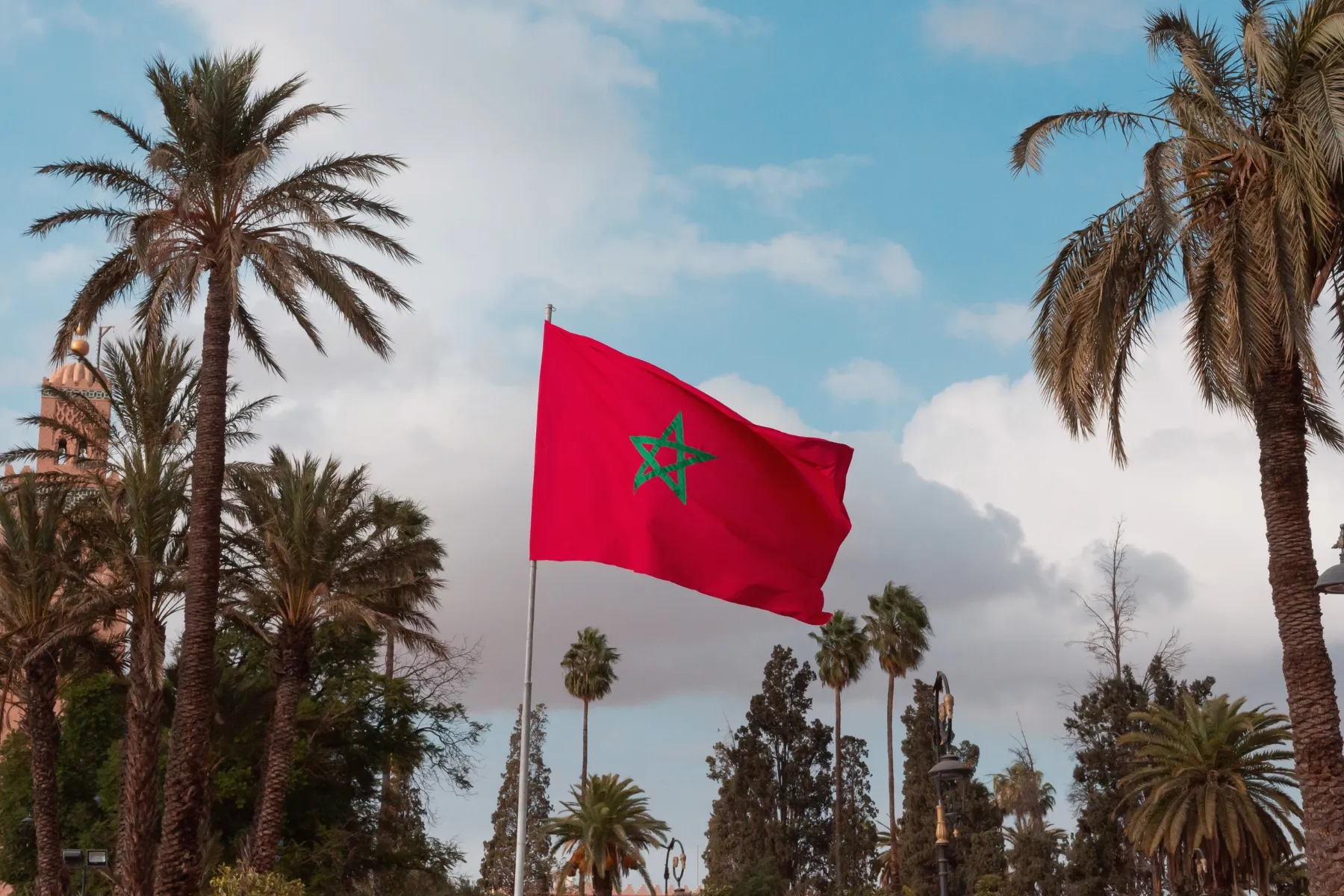 Moroccan flag waving among palm trees in Marrakech with Koutoubia minaret