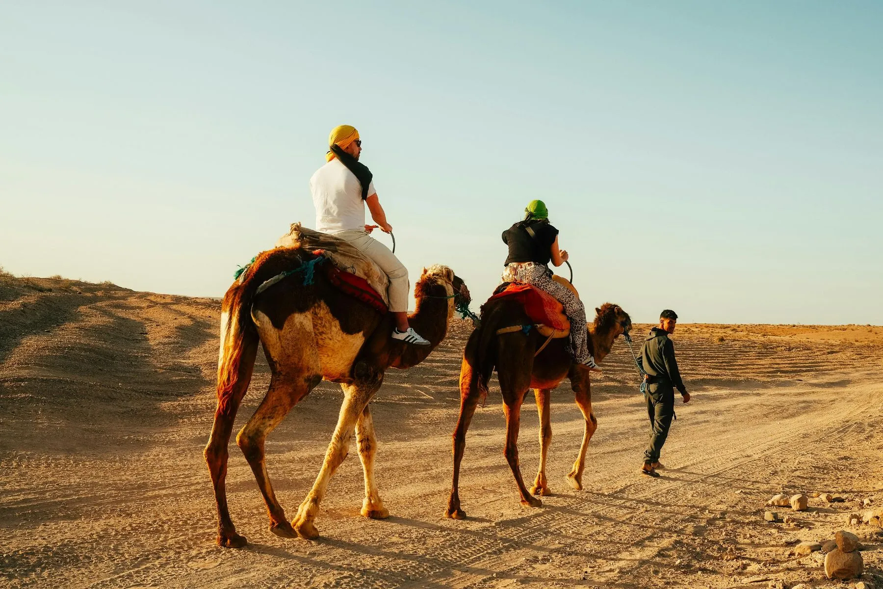 Tourists on a marrakech morocco camel ride guided tour through the agafay desert